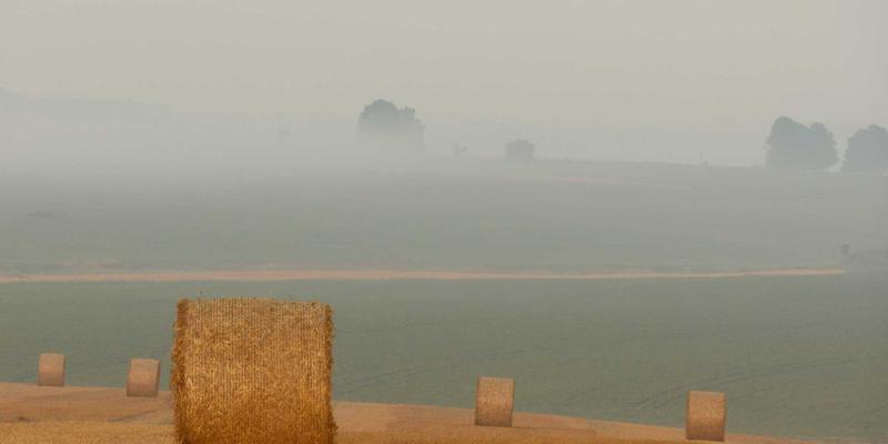 2L8L17:视频与图像分享新纪元,解析下一代内容传播密码