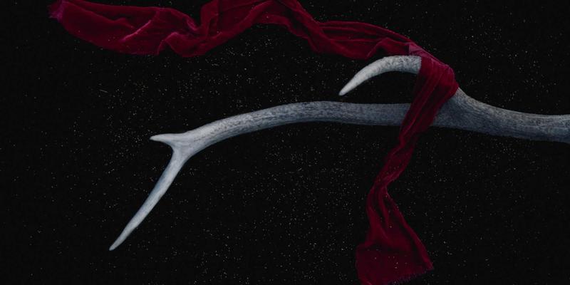 2L8L31:解码视频分享时代的社交密码与内容生态新范式