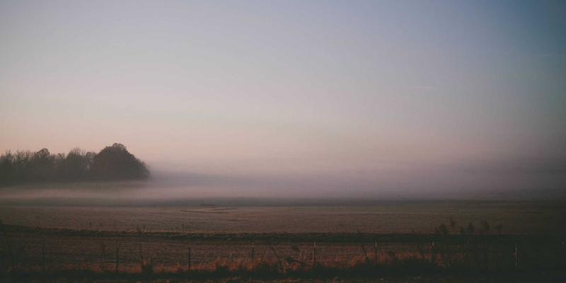 2L8L73：创意内容与视频分享如何重塑数字社区生态