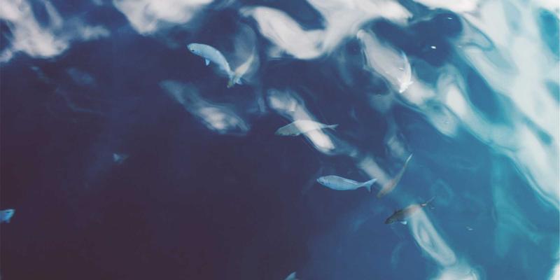 2L8L发展新浪潮：社区、视频分享与互动娱乐如何重塑数字生活