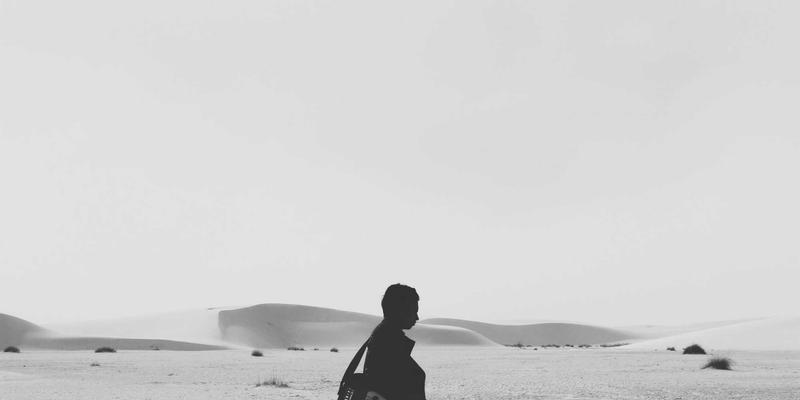 2L8L深度评测：创意内容如何重塑数字社区生态