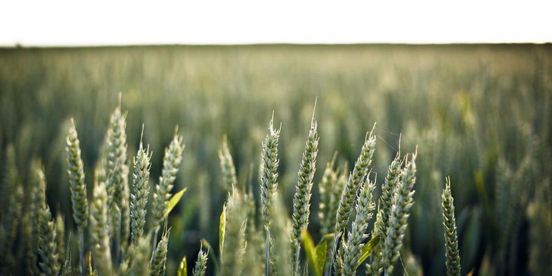 2L8L芯片深度解析：如何重塑互动娱乐与原创作品体验