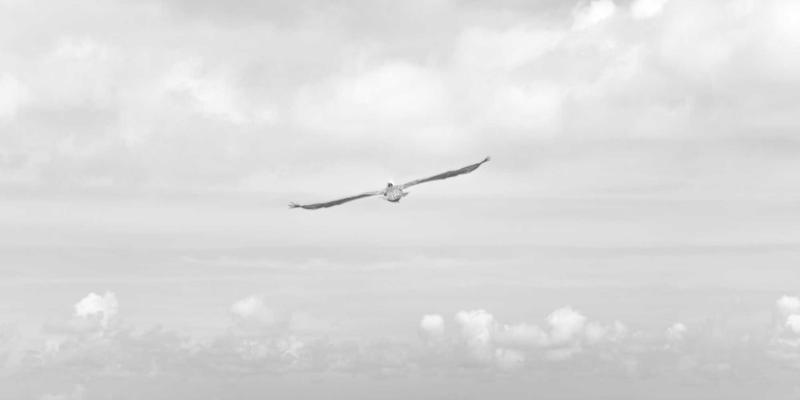 2L8L芯片赋能边缘计算：重塑互动娱乐与原创作品的本地化智能视频处理新生态