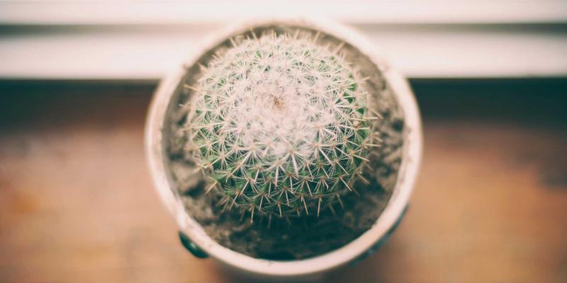 从互动娱乐到智慧交通：基于2L8L边缘服务器的创意内容如何重塑城市流量管理