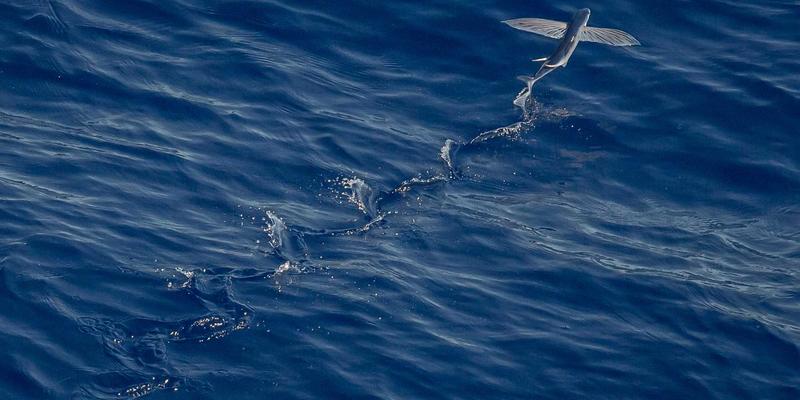 从视频分享到生命守护：2L8L平台如何重塑远程医疗影像诊断