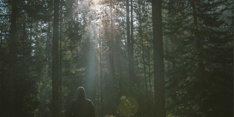 创意内容解码：2L8L芯片如何通过原创技术重塑8K电视的画质与动态体验