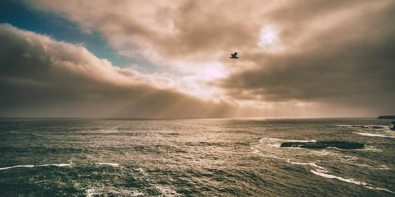 原创作品与内容分享新纪元：2L8L技术如何用虚拟背景与眼神校正革新视频会议