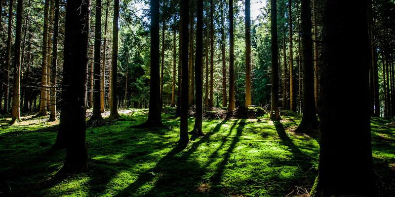 原创作品揭秘：如何利用2L8L技术实现港口集装箱智能识别与管理